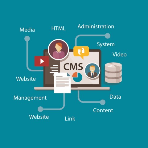 cms-website-design-in-carlisle-cumbria